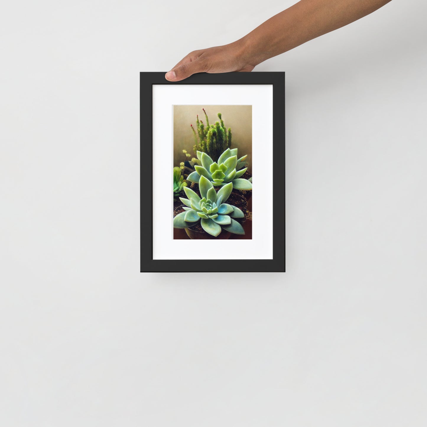 Matte Paper Framed Poster With Mat